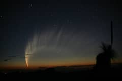 Preview of The Magnificent Tail of Comet McNaught