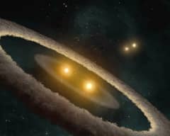 Preview of The Four Suns of HD 98800