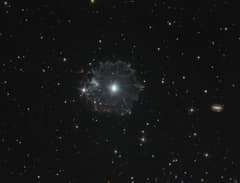 Preview of Cat's Eye Wide and Deep