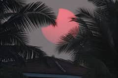 Preview of Goa Silhouettes