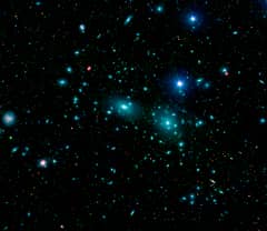 Preview of Dwarf Galaxies in the Coma Cluster