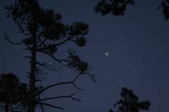 Preview of Forest and Sky