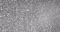 Preview of Comet Encke's Tail Ripped Off