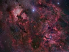 Preview of Northern Cygnus
