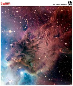 Preview of The Fox Fur Nebula from CFHT