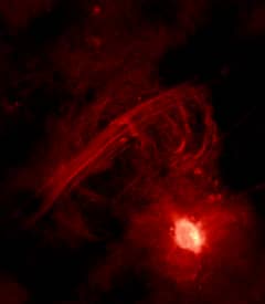 Preview of The Galactic Center Radio Arc