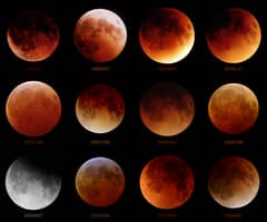 Preview of Twelve Lunar Eclipses