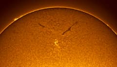 Preview of Sunspot in the Old Solar Cycle