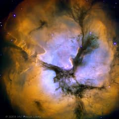 Preview of In the Center of the Trifid Nebula
