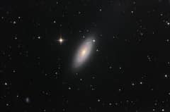 Preview of Spiral Galaxy NGC 2841