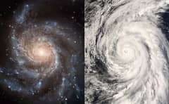 Preview of Logarithmic Spirals