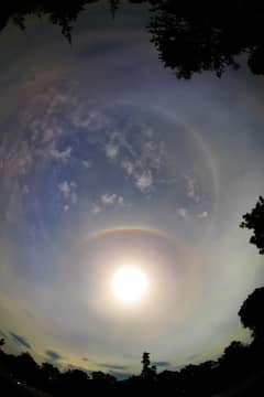 Preview of Circles in the Sky