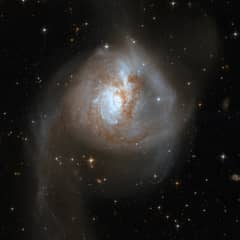 Preview of Galaxies Collide in NGC 3256