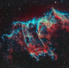 Preview of A Spectre in the Eastern Veil