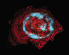 Preview of Unusual Auroras Over Saturn's North Pole