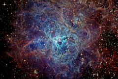 Preview of The Cosmic Web of the Tarantula Nebula