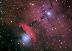 Preview of Stars, Dust and Nebula in NGC 6559