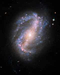 Preview of Barred Spiral Galaxy NGC 6217