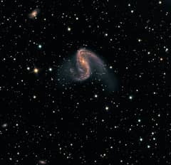 Preview of NGC 2442: Galaxy in Volans