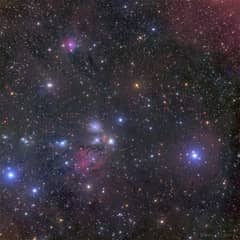 Preview of NGC 2170: Celestial Still Life