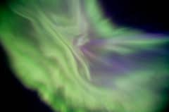 Preview of A Floral Aurora Corona