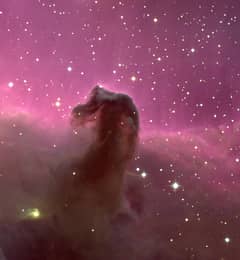 Preview of The Horsehead Nebula