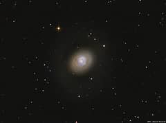 Preview of Starburst Galaxy M94