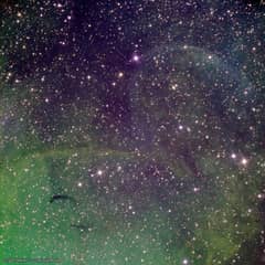 Preview of Possible Jet Blown Shells Near Microquasar Cygnus X-1