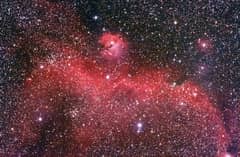Preview of The Seagull Nebula