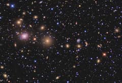 Preview of Galaxies of the Perseus Cluster