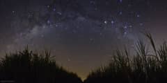 Preview of A Starry Night in Brazil