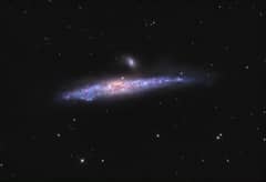 Preview of The Whale Galaxy