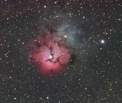 Preview of A Beautiful Trifid