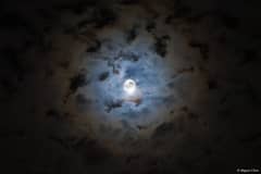Preview of Halloween's Moon
