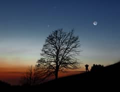 Preview of Moon and Planets in the Morning