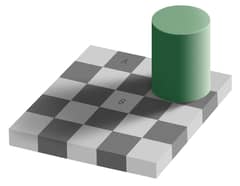 Preview of The Same Color Illusion