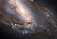 Preview of Unusual Spiral Galaxy M66 from Hubble