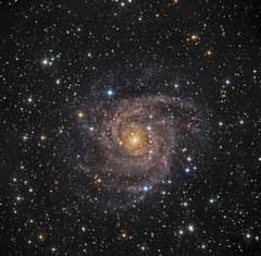 Preview of Hidden Galaxy IC 342