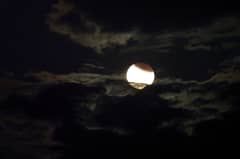 Preview of A Partial Lunar Eclipse