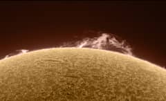 Preview of Reinvigorated Sun and Prominence