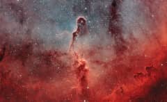 Preview of The Elephant's Trunk in IC 1396