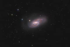 Preview of Spiral Galaxy M66