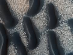 Preview of A Dark Dune Field in Proctor Crater on Mars