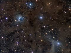 Preview of Stardust in Aries