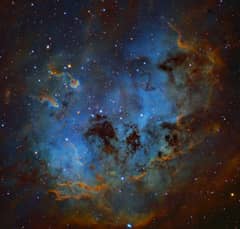 Preview of The Tadpoles of IC 410