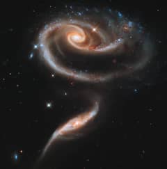 Preview of Peculiar Galaxies of Arp 273
