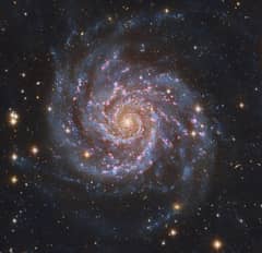 Preview of M74: The Perfect Spiral