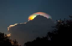 Preview of A Pileus Iridescent Cloud Over Ethiopia
