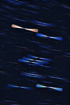 Preview of Star Colors in Orion