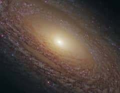 Preview of Spiral Galaxy NGC 2841 Close Up